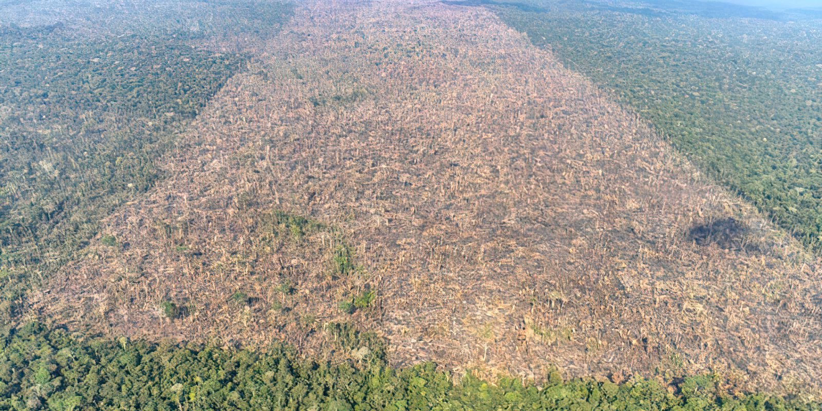 desmatamento-sobe-na-amazonia,-mas-cai-no-cerrado-e-no-pantanal