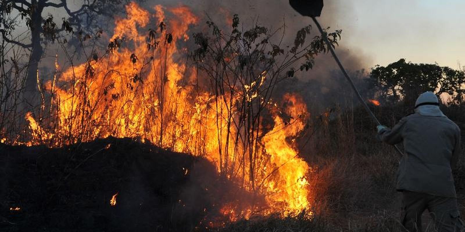 forca-nacional-vai-atuar-por-mais-90-dias-na-amazonia-legal-e-pantanal