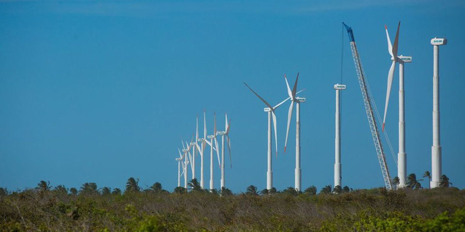 bndes-lanca-edital-para-impulsionar-desenvolvimento-sustentavel