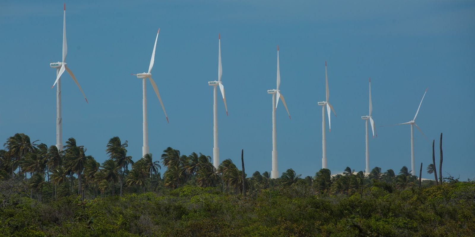 inscricoes-para-olimpiada-de-eficiencia-energetica-ja-estao-abertas
