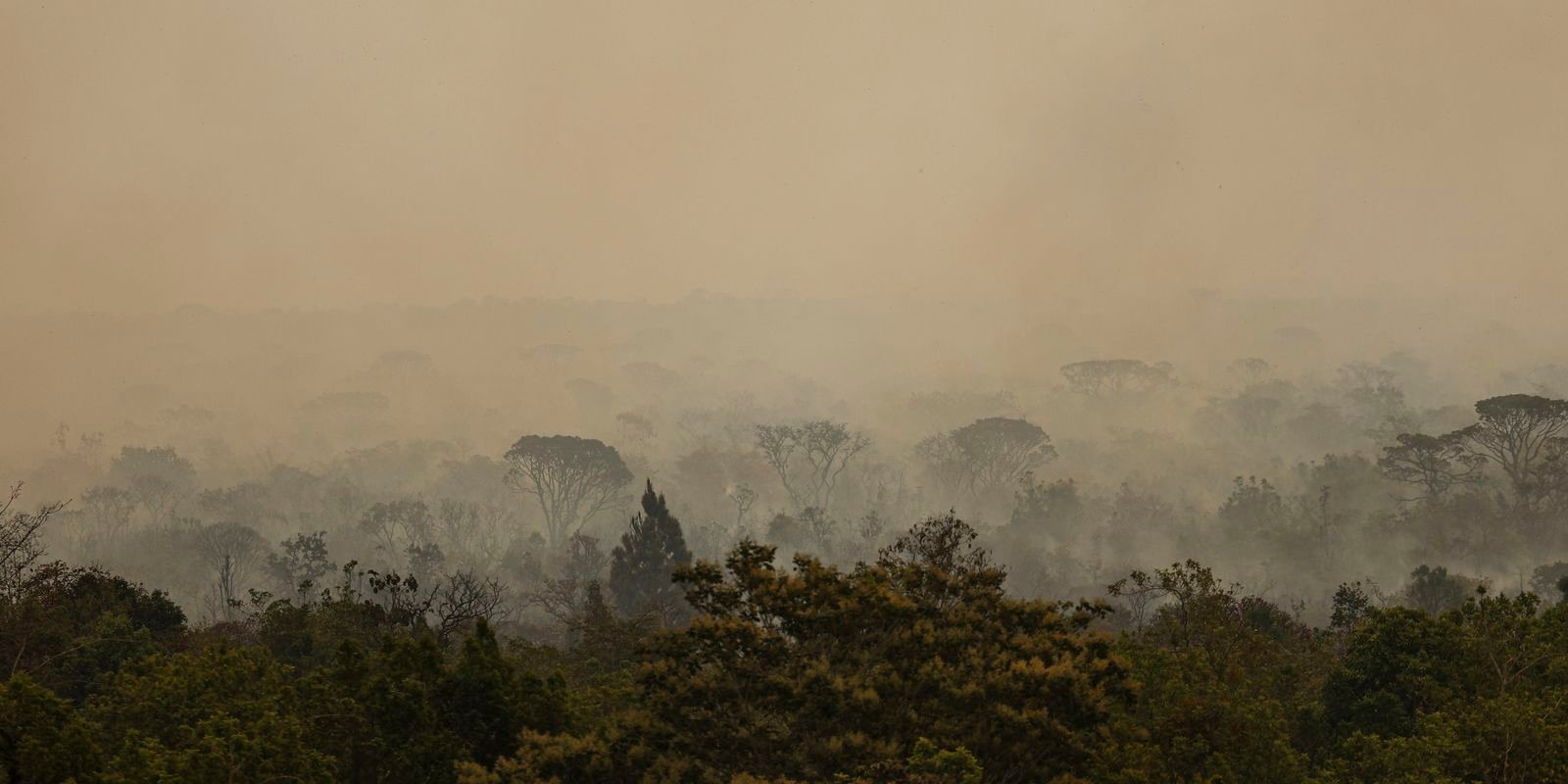 ibama-conta-4,6-mil-brigadistas-para-combater-incendios-neste-ano
