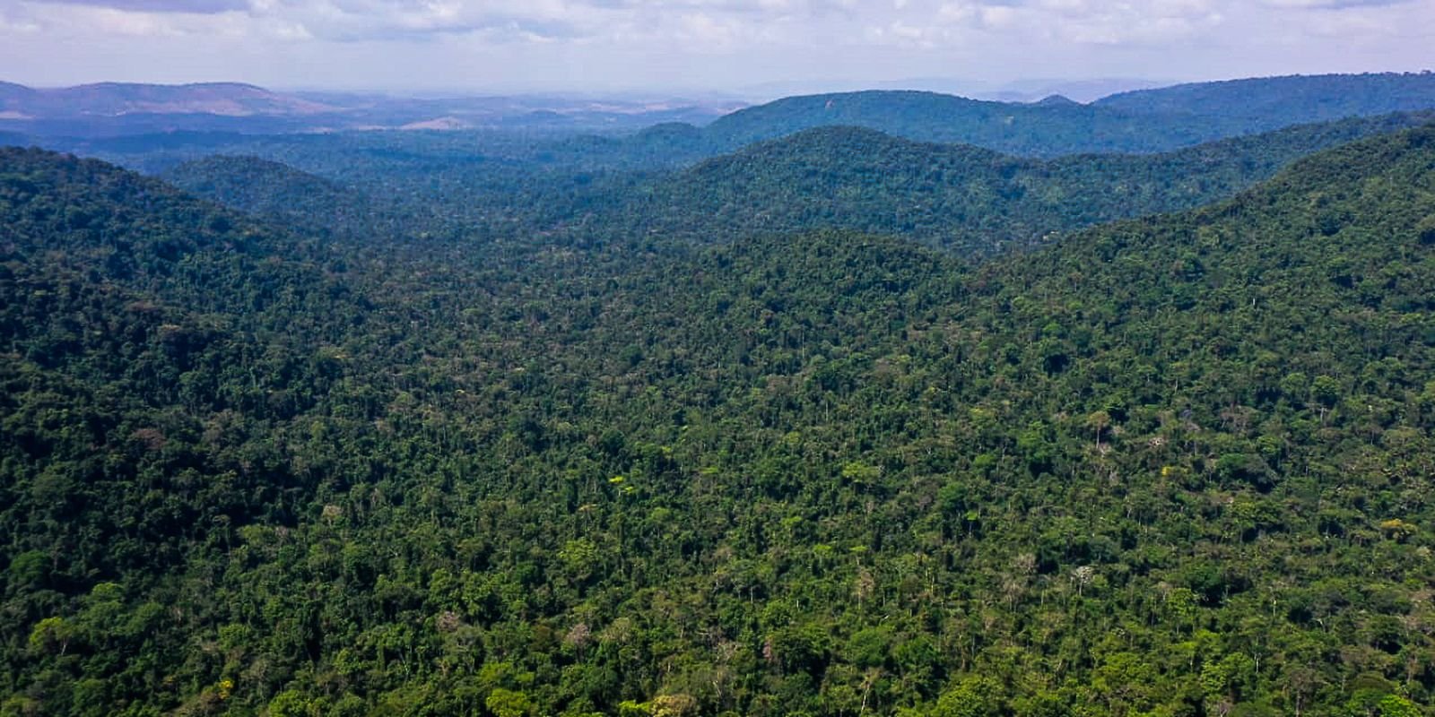 desmatamento-no-amazonas-caiu-32%-entre-agosto-e-fevereiro-deste-ano