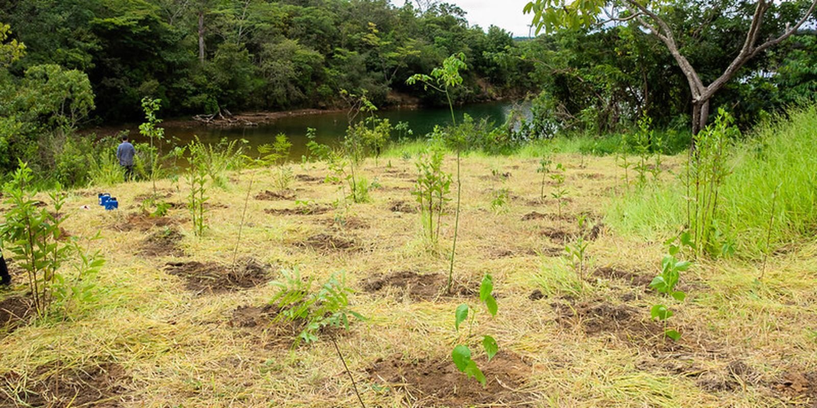 serrinha-do-paranoa-(df)-vira-parque-para-proteger-ecossistemas