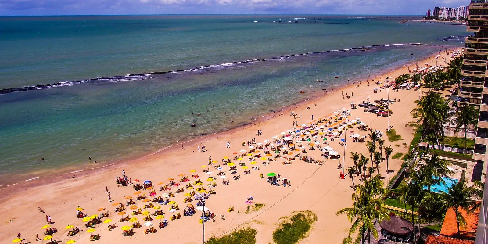 pernambuco-volta-a-monitorar-tubaroes-na-orla-apos-10-anos