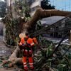 Rede elétrica mais resiliente requer investimento de concessionárias