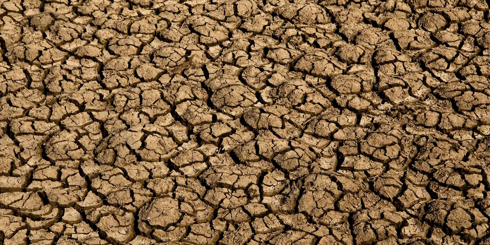 Seca provoca situação de emergência em 123 cidades do RN