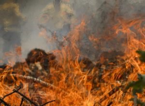 policia-federal-inicia-operacao-de-combate-a-incendios-florestais