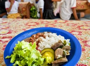 aos-70-anos,-programa-de-alimentacao-escolar-brasileiro-e-referencia