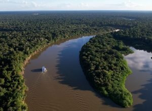 amazonia-legal-teve-uma-reducao-de-11,08%-no-desmatamento-em-um-ano