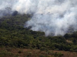 brasil-queimou-mais-de-185-milhoes-de-hectares-de-biomas-em-38-anos